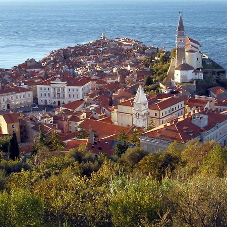 Sea View Istrian Countryside Apartment - Rota Dragonja ภายนอก รูปภาพ