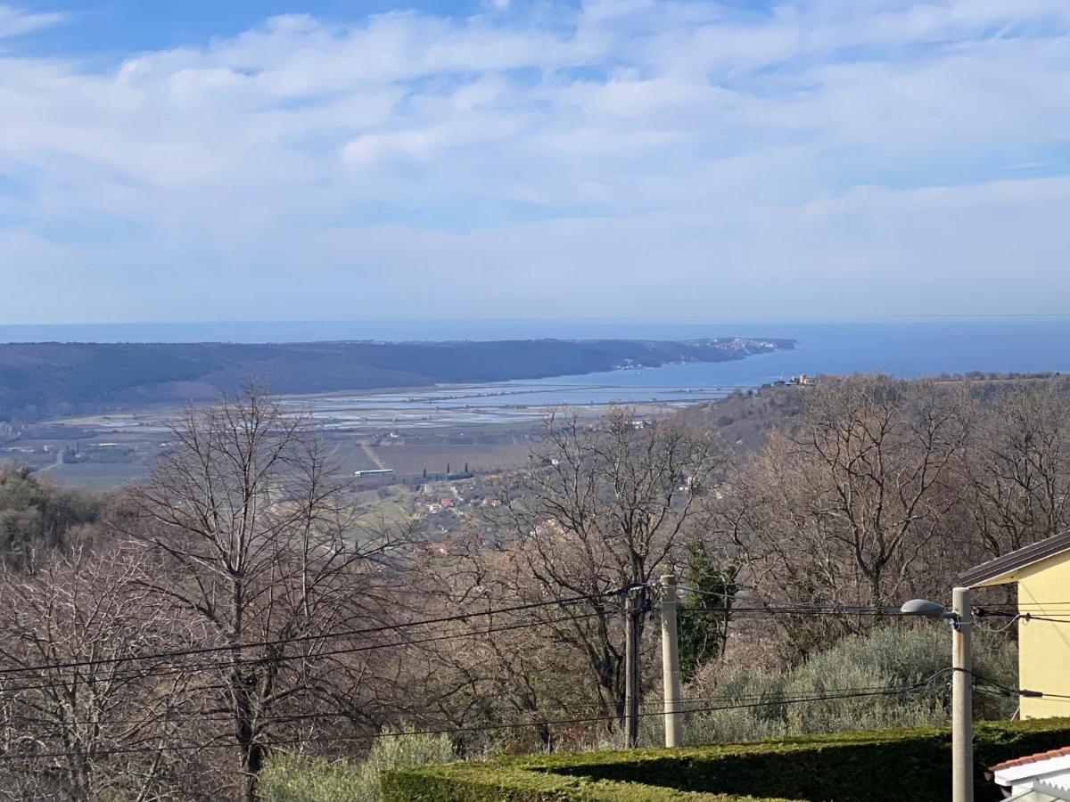 Sea View Istrian Countryside Apartment - Rota Dragonja ภายนอก รูปภาพ