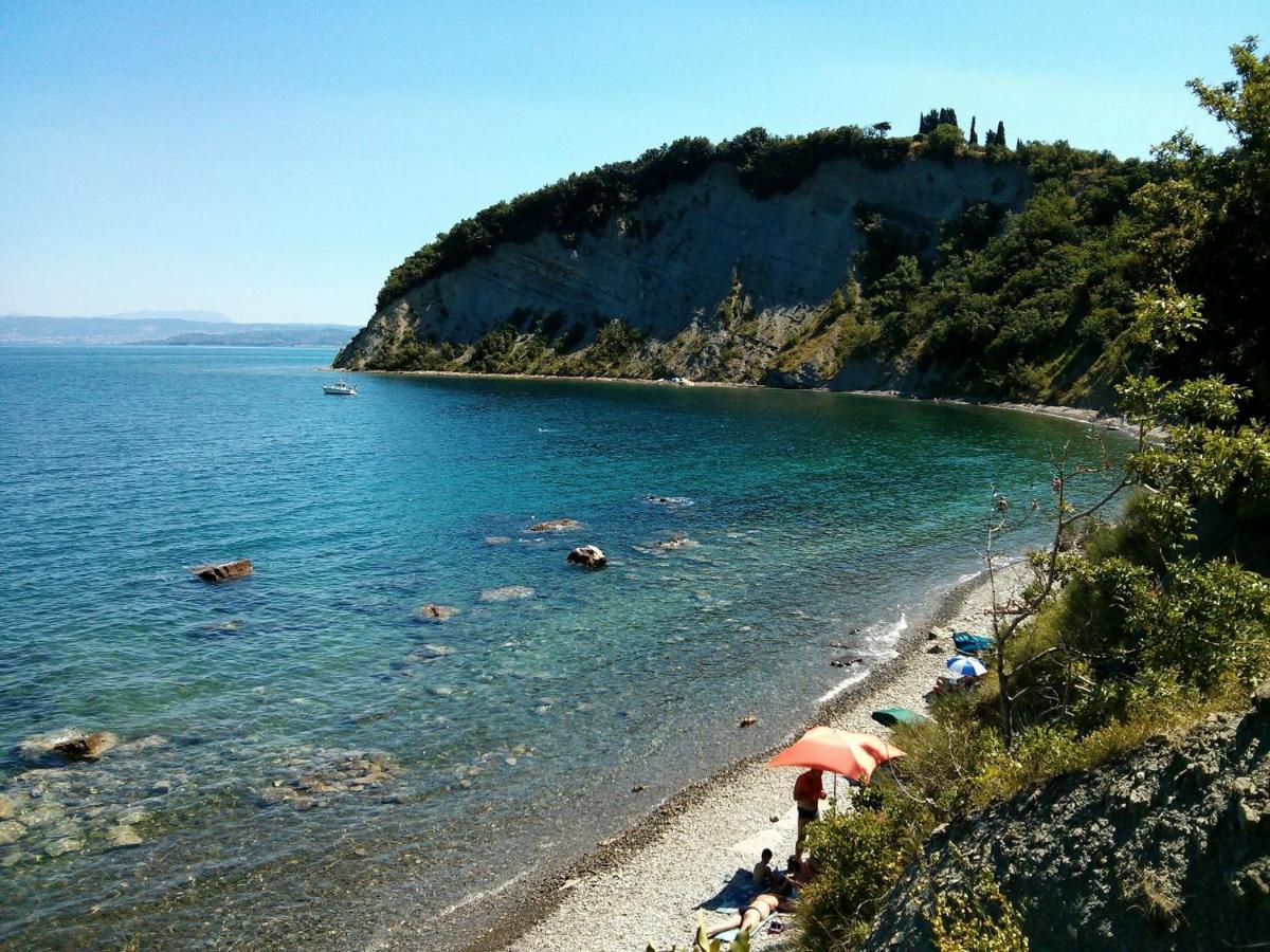 Sea View Istrian Countryside Apartment - Rota Dragonja ภายนอก รูปภาพ